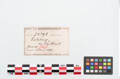 Etiketten zu Bronzebrillenfibel (NHMW-PRAE-024798)